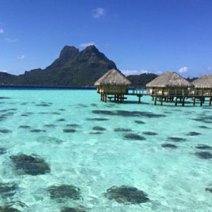 Caiman Islands